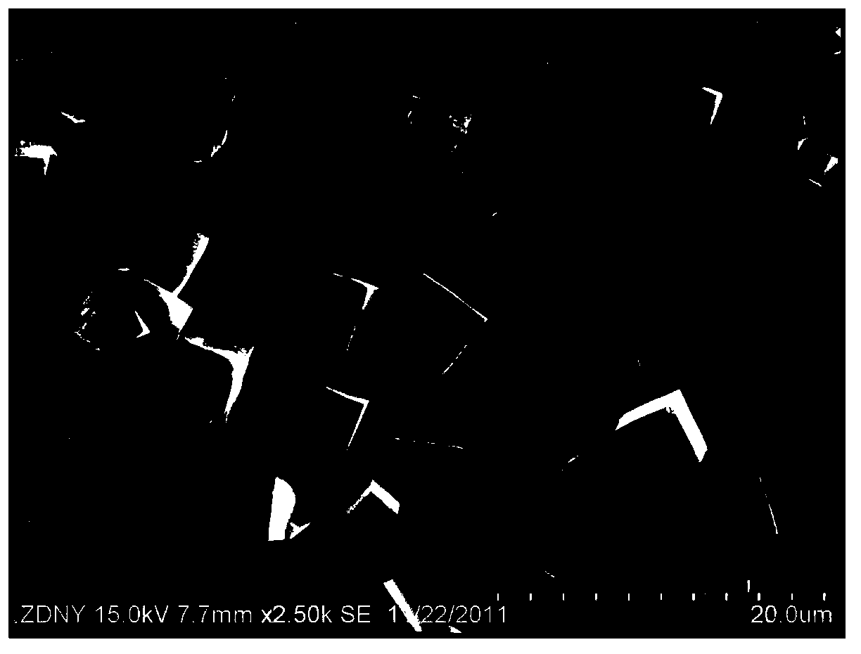 SAPO-34 molecular sieve and synthesis method thereof