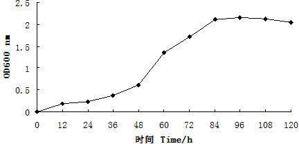 Low-temperature resisting method for festuca arundinacea by using complex microbial inoculants