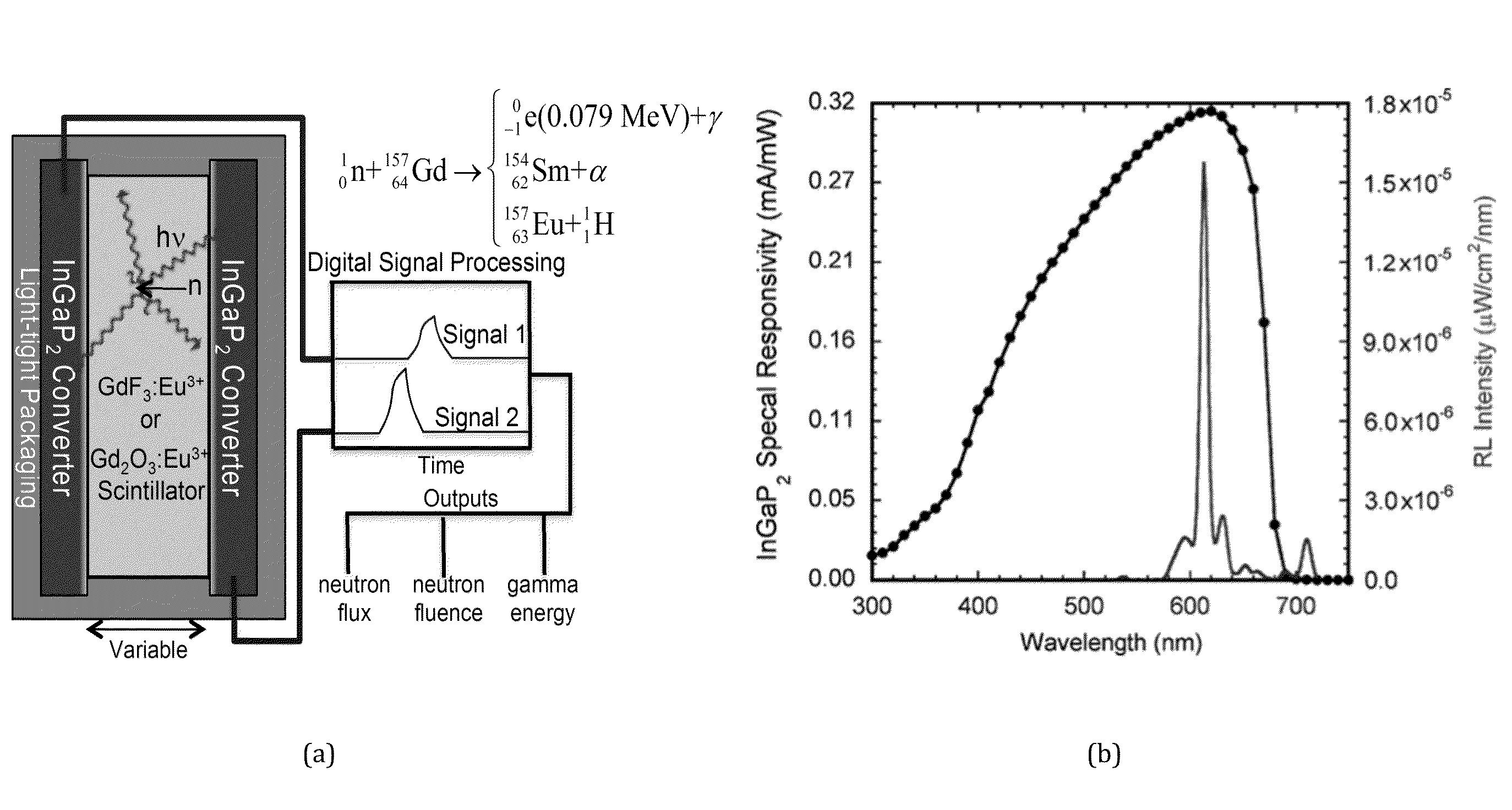 Neutron detector using gd-based scintillator and wide-bandgap semiconductor photovoltaic