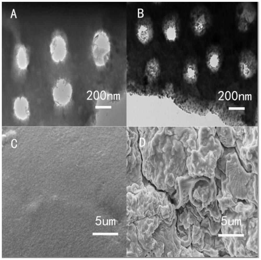 Preparation method of nano-silver/diatomite/calcium alginate composite antibacterial hydrogel microspheres