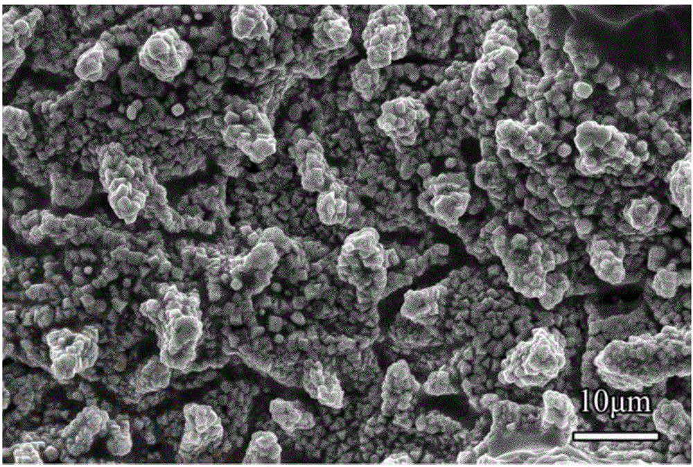 Method for preparing super-hydrophobic copper surface of plant leaf structure