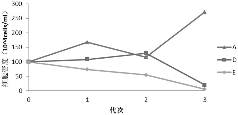 Bovine infectious rhinotracheitis virus and mycoplasma bovis dual inactivated vaccine and its preparation method and suspension mdbk cells used