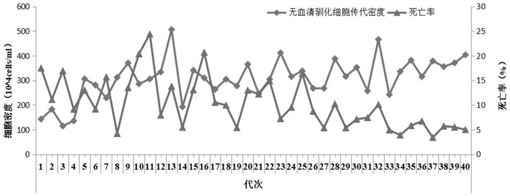 Bovine infectious rhinotracheitis virus and mycoplasma bovis dual inactivated vaccine and its preparation method and suspension mdbk cells used