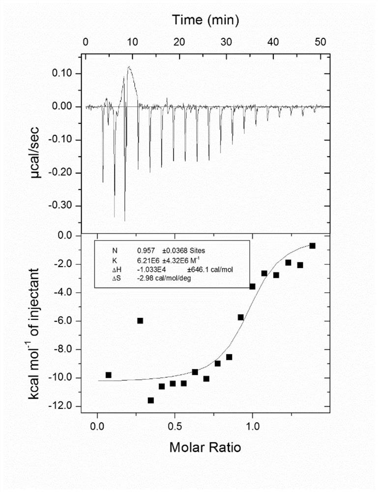 Polypeptide inhibitor for APC/Asef interaction and application thereof