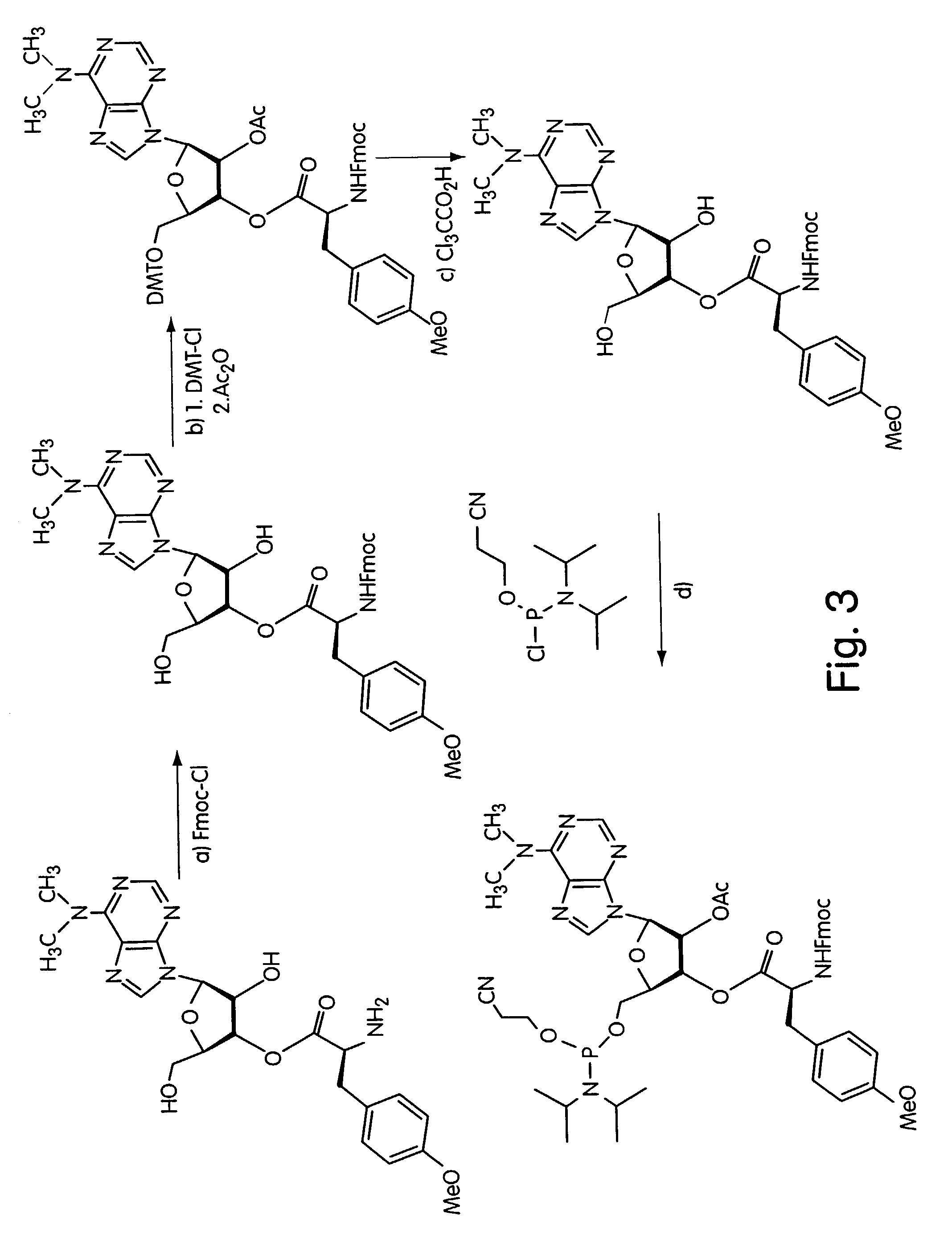 DNA-protein fusions and uses thereof