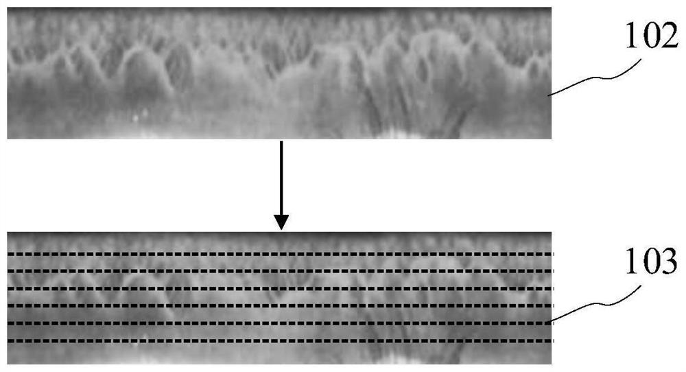 Iris image processing method and device, electronic equipment and computer readable medium