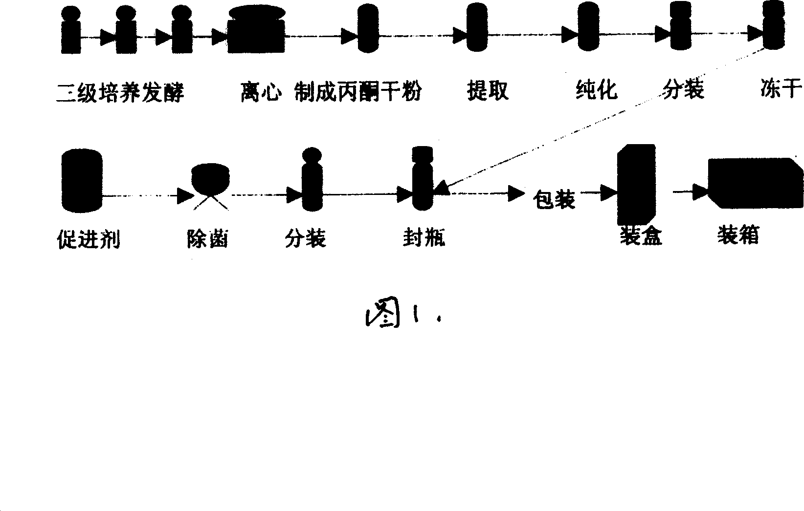 Medicine for treating leukopenia and its preparing method