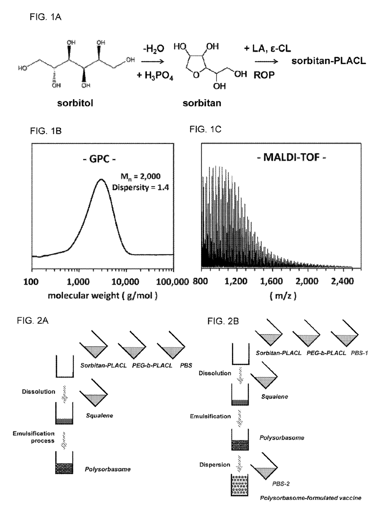 Sorbitan polyester conjugates for stabilizing water-in-oil emulsions and delivering controlled release of bioactive agents