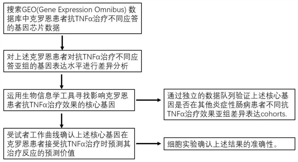 Screening method and application of gene marker for predicting treatment response of Crohn's disease