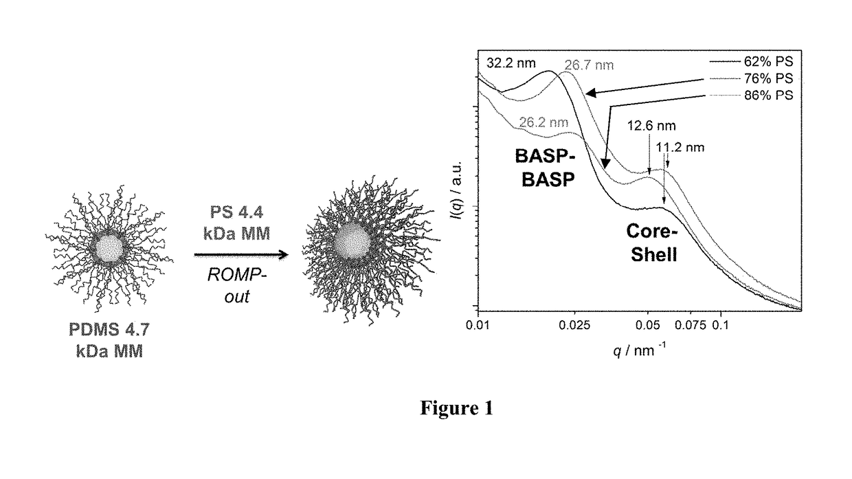 Core-to-surface polymerization for the synthesis of star polymers and uses thereof