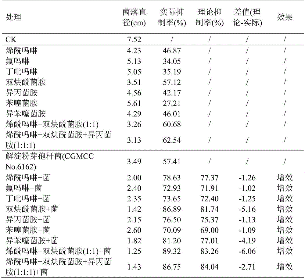 Microbial pesticide composition containing amide fungicides and biocontrol bacteria, preparation and application of preparation