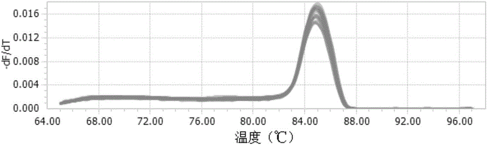 Application of GmGAPC1 gene segment as reference gene stably expressed in different growth periods of gentiana macrophylla