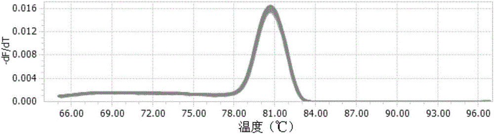 Application of GmGAPC1 gene segment as reference gene stably expressed in different growth periods of gentiana macrophylla