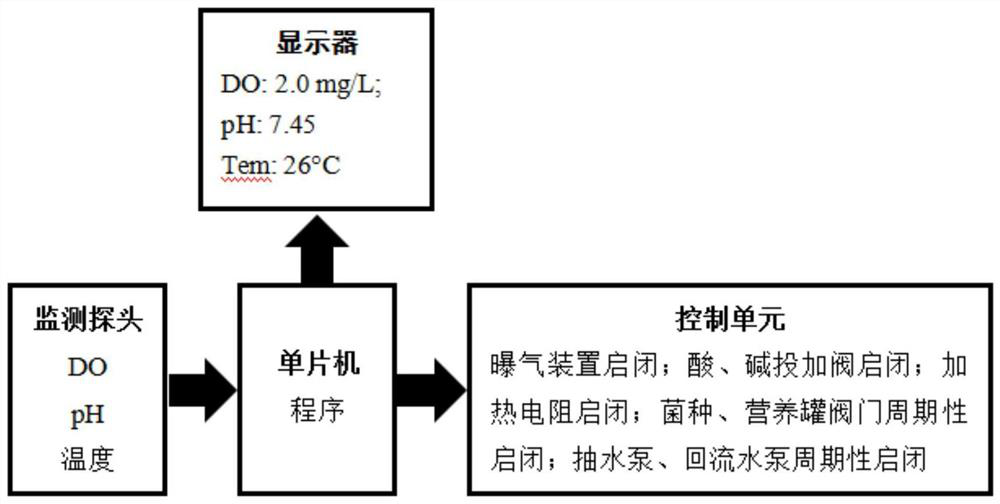 Activating and expanding culture system and activating and expanding culture method for sewage treatment active microorganisms