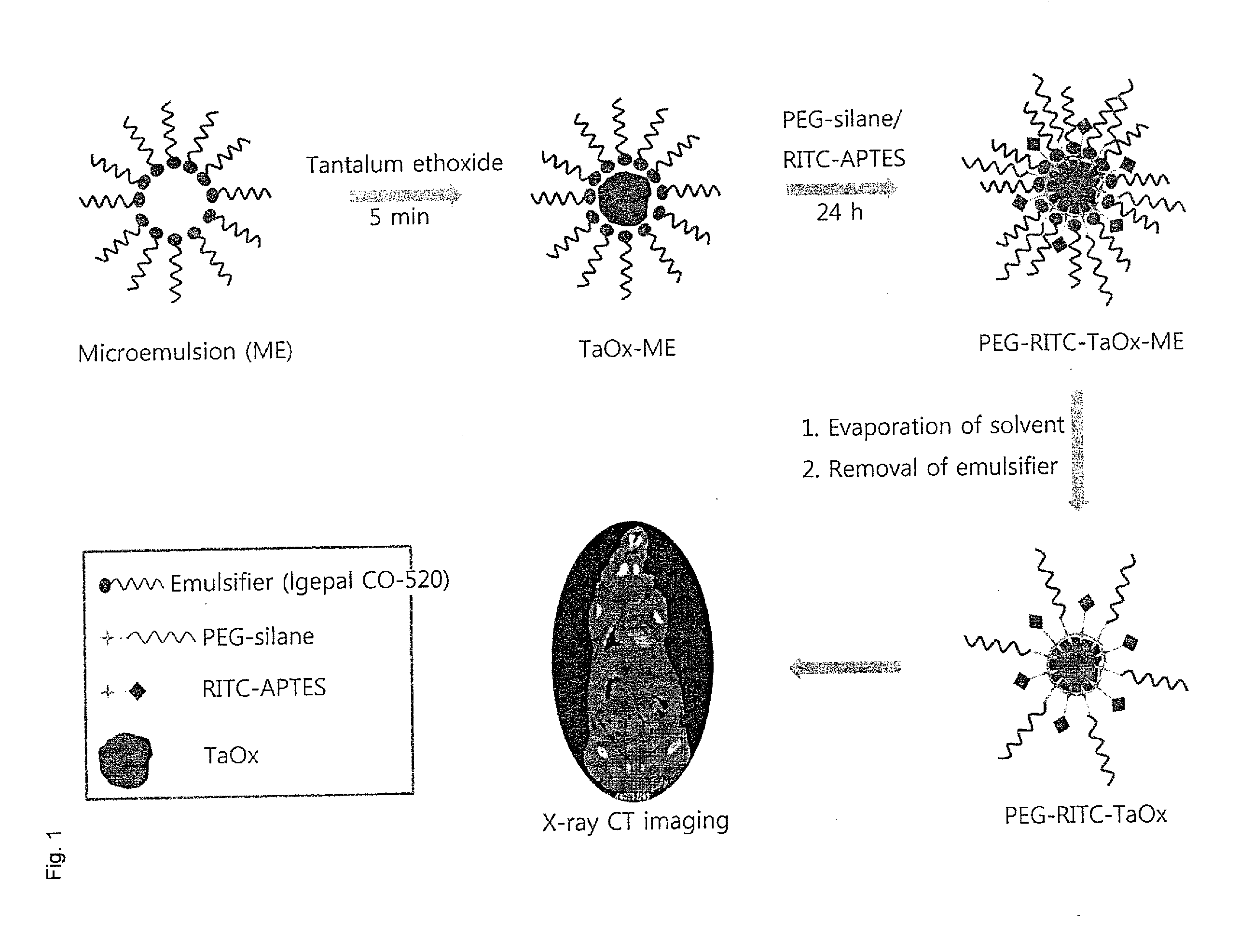 Surface-Modified Tantalum Oxide Nanoparticles, Preparation Method Thereof, and Contrast Medium for X-Ray Computed Tomography and Highly Dielectric Thin Film Using Same