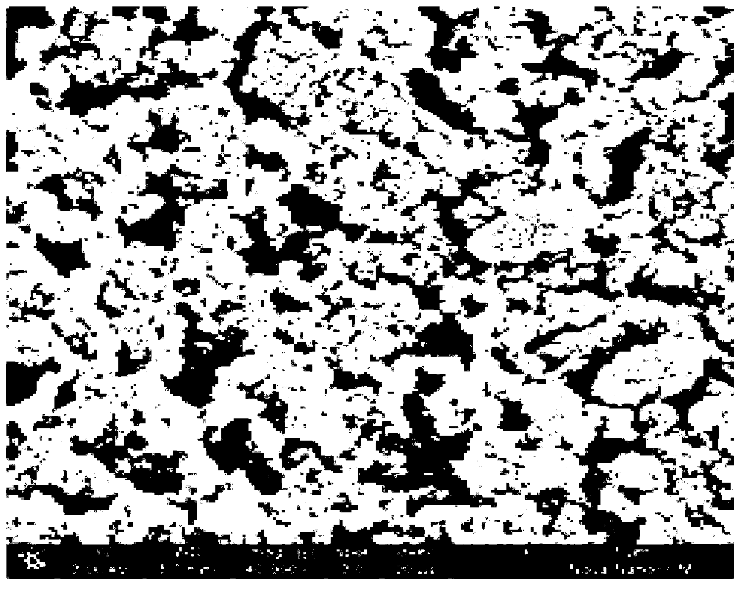 Preparation method and application for aminoglycoside-antibiotic molecularly imprinted polymers