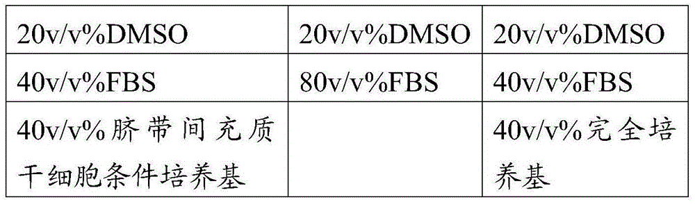 Cryopreservation protective fluid and method for umbilical cord mesenchymal stem cells