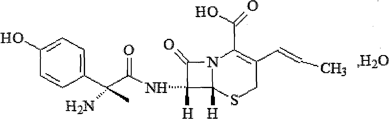 Solid cefprozi lipid nanoparticle preparation