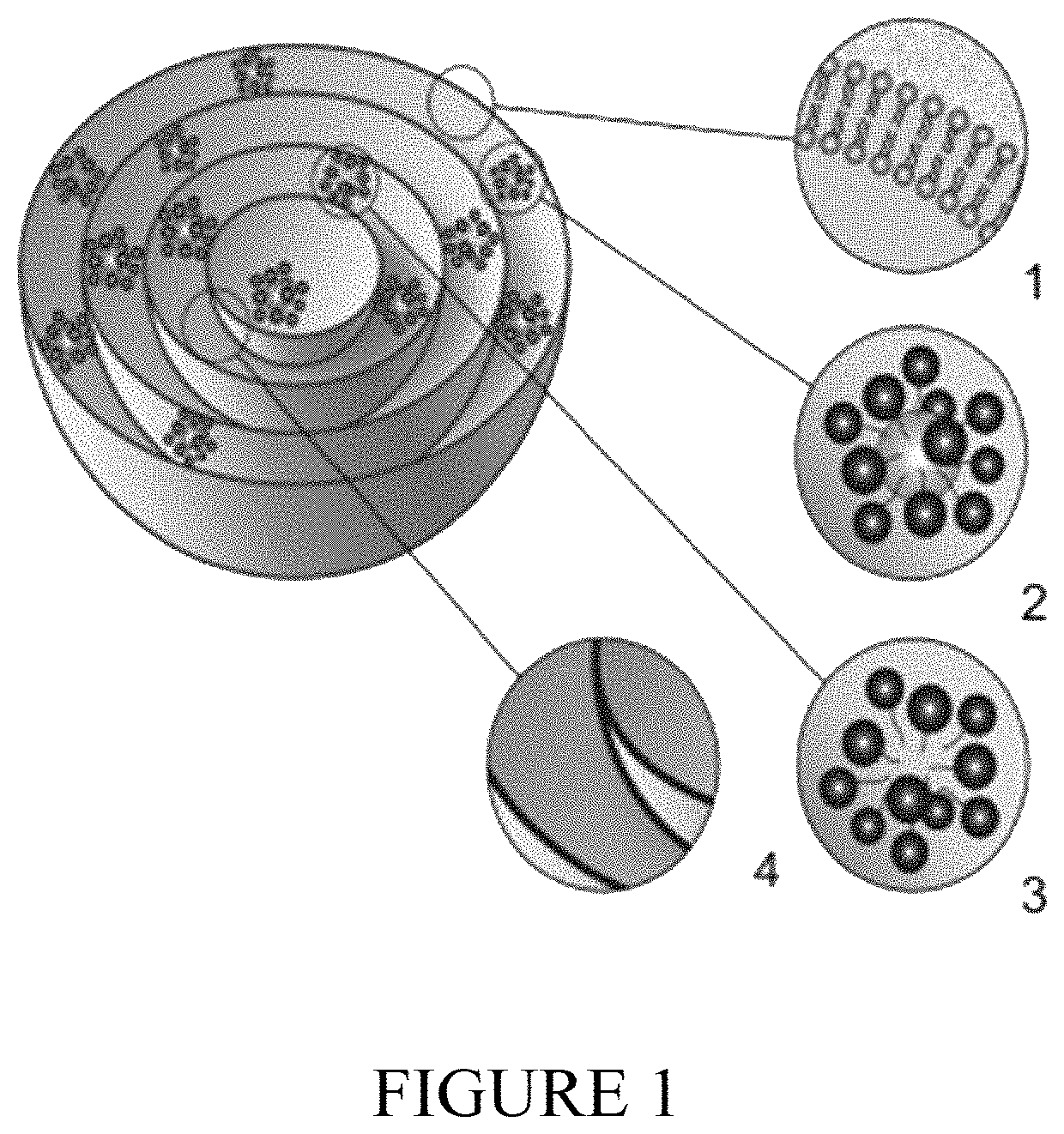 Biphasix cannabinoid delivery