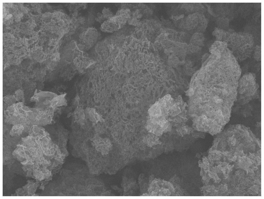 Carbon nitride-graphene composite material as well as preparation method and application thereof