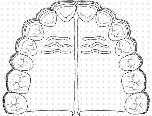 Method for digitally measuring dental jaw growth and development laws