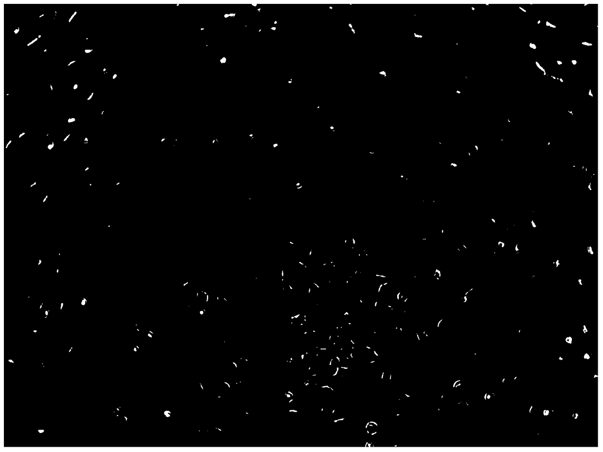 A kind of lipid compound siRNA transfection reagent