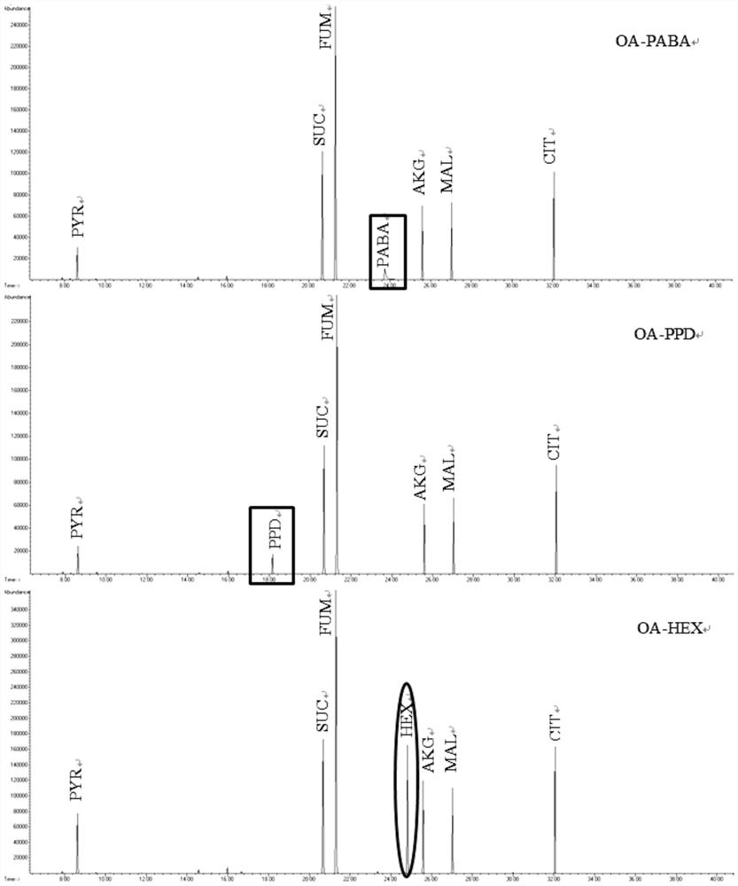 Novel internal standard for the detection of amino acids, organic acids, or sugar phosphate metabolites in samples