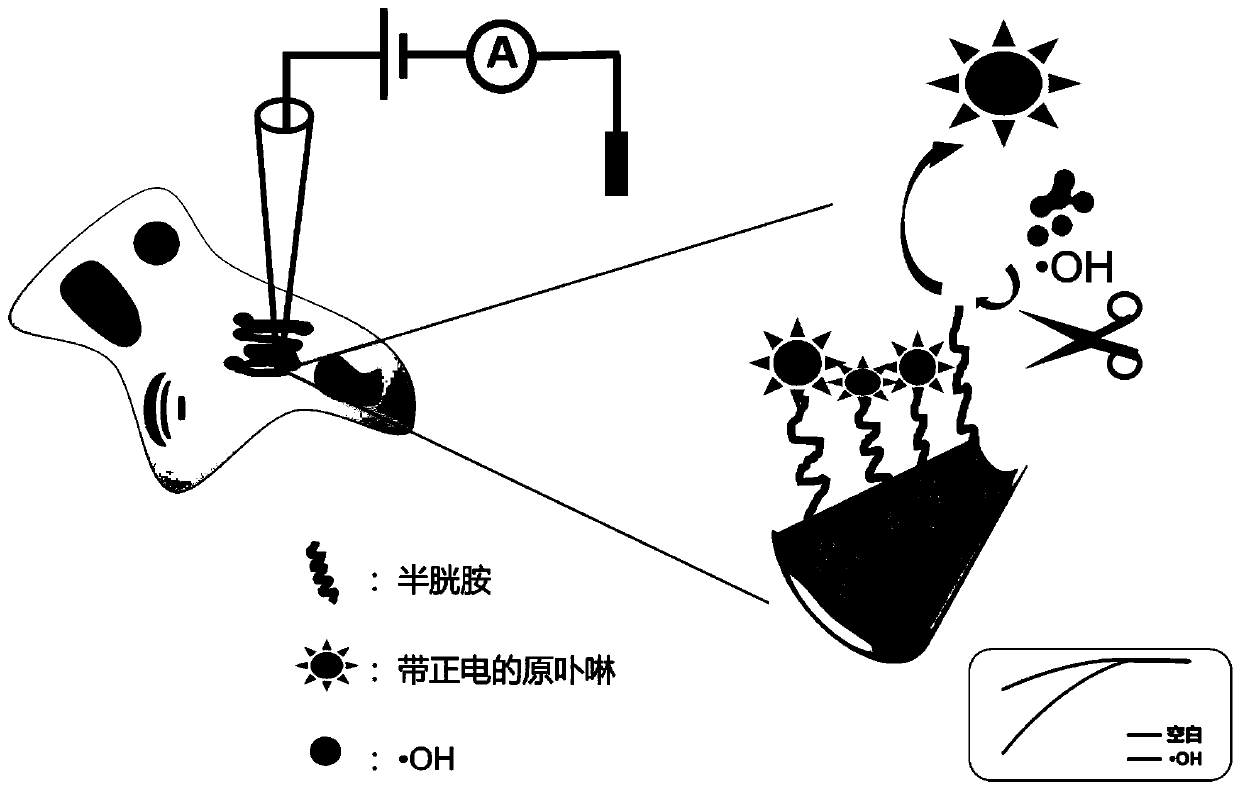 Glass nanopore sensor for detecting. OH and preparation and application of glass nanopore sensor