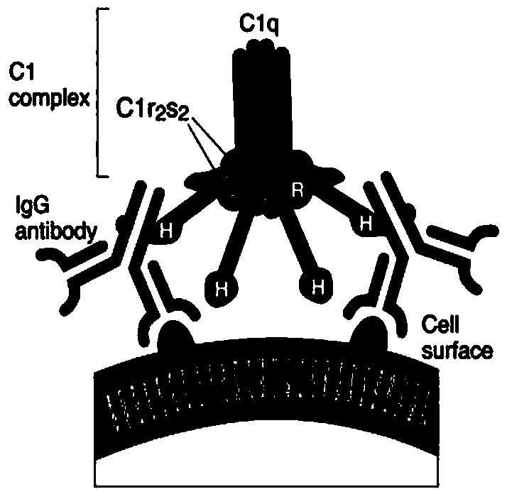 Pepsinogen II detection kit