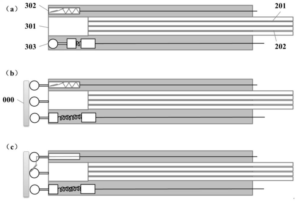 Dual-wavelength enhanced Raman endoscopic non-invasive pathological detection device and detection method