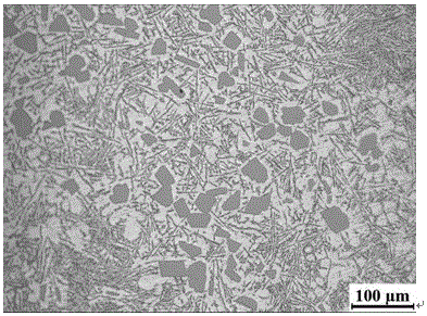 A device and application for preparing metal semi-solid slurry