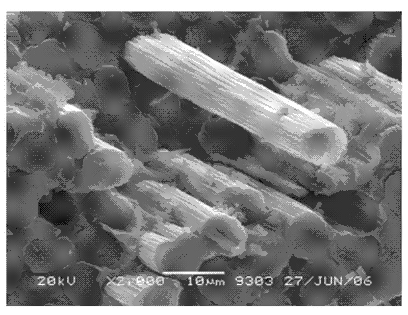 Carbon fiber reinforced boron nitride composite and preparation method thereof