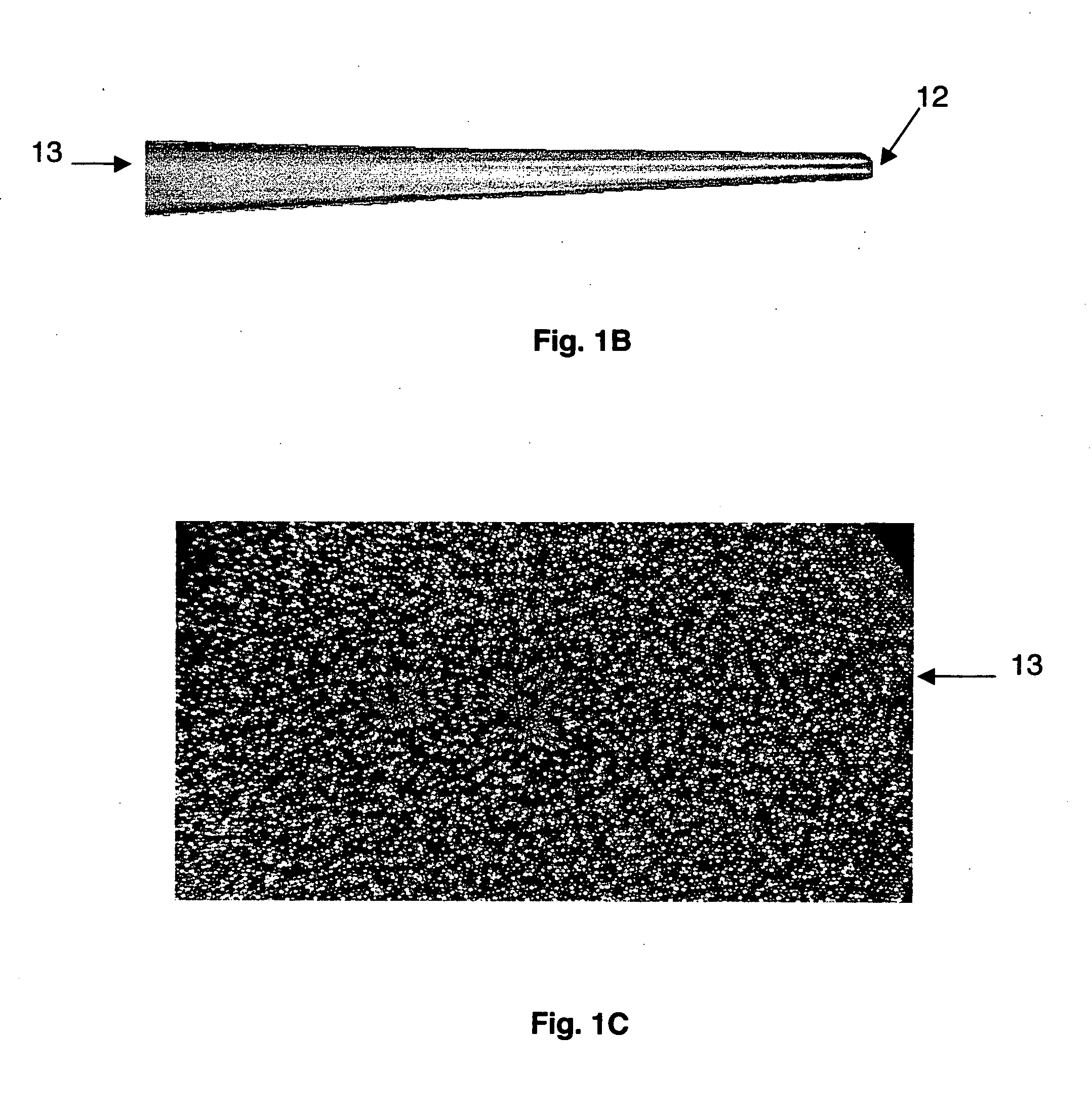 Surface enhanced Raman spectroscopic nano-imaging probe and uses therefor