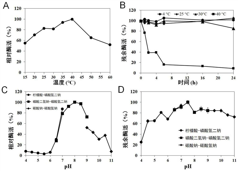 Endo-1, 3-fucoidan enzyme and application thereof