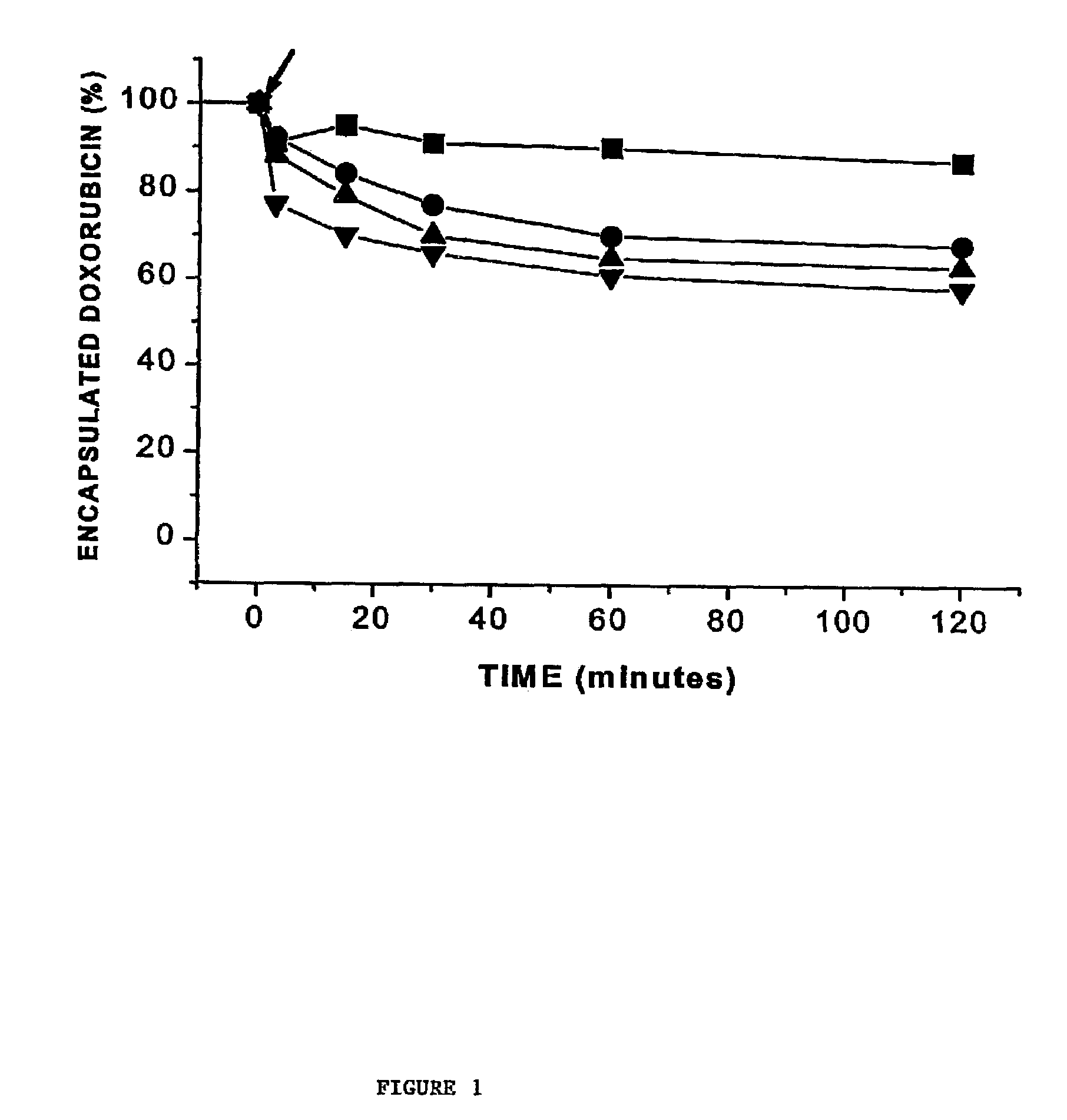 Triggered release of liposomal drugs following mixing of cationic and anionic liposomes