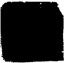 Vegetable paper and manufacturing method thereof