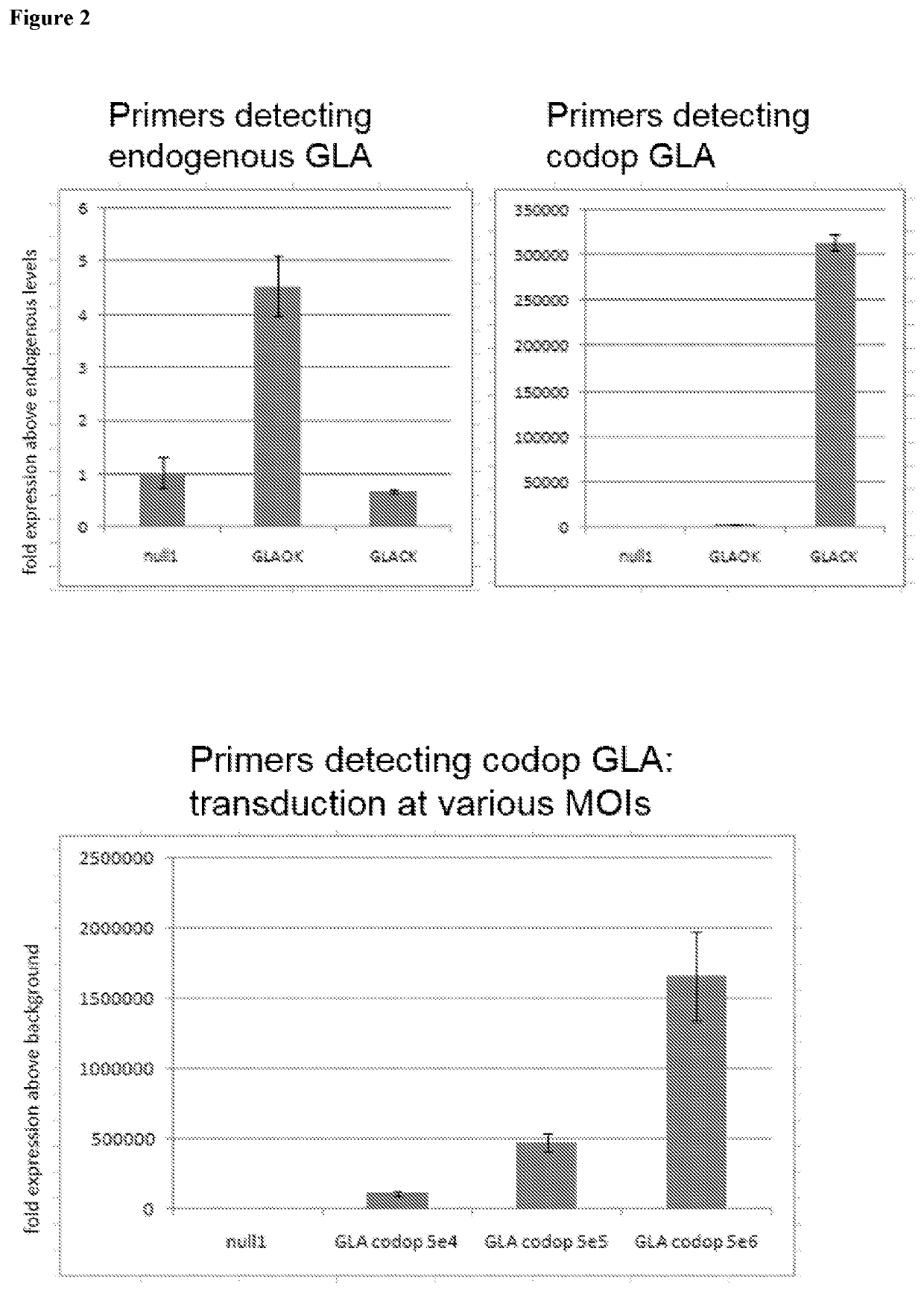 Fabry disease gene therapy