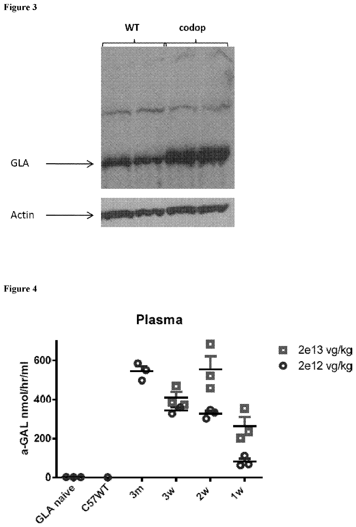 Fabry disease gene therapy