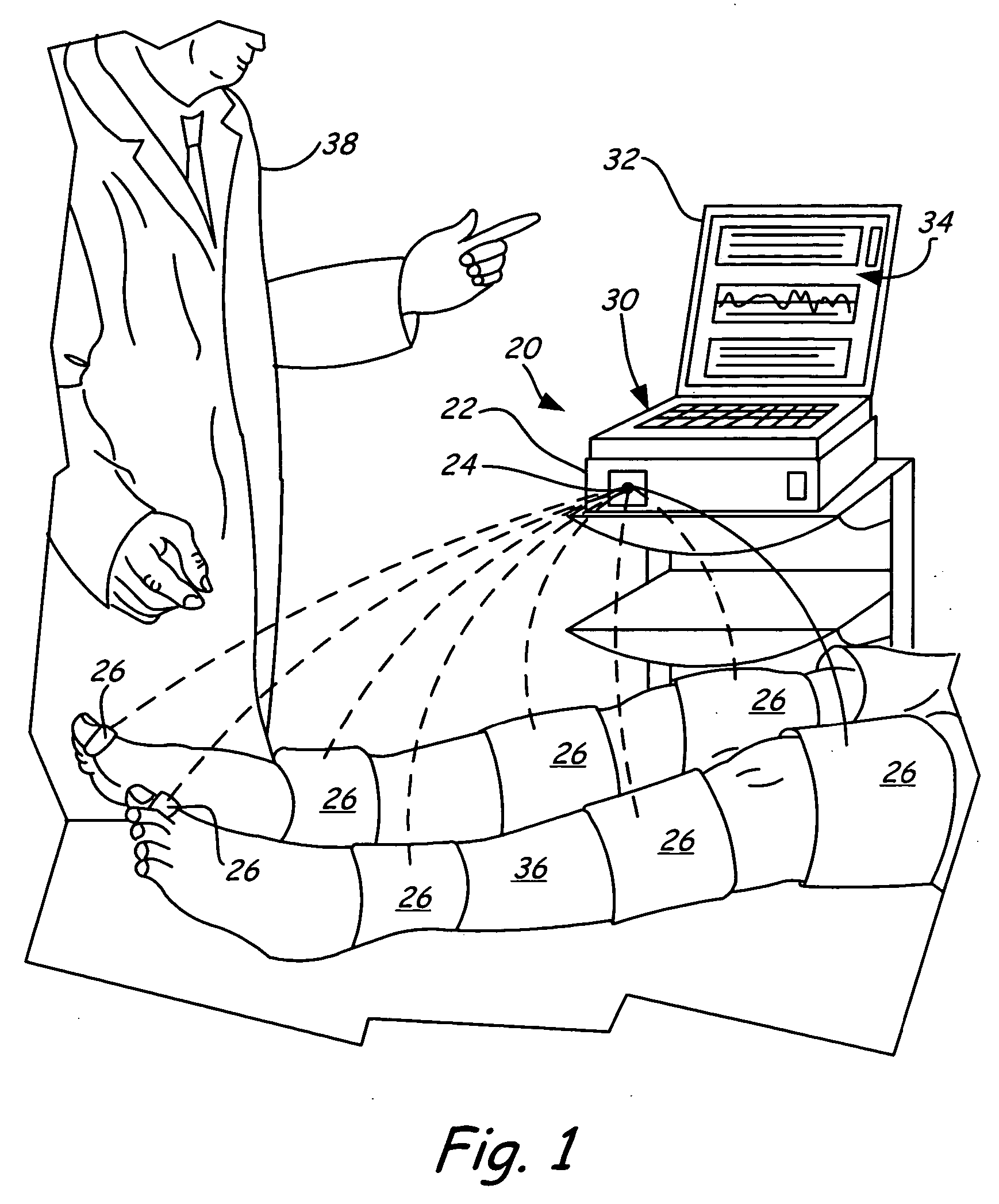 Vascular testing system