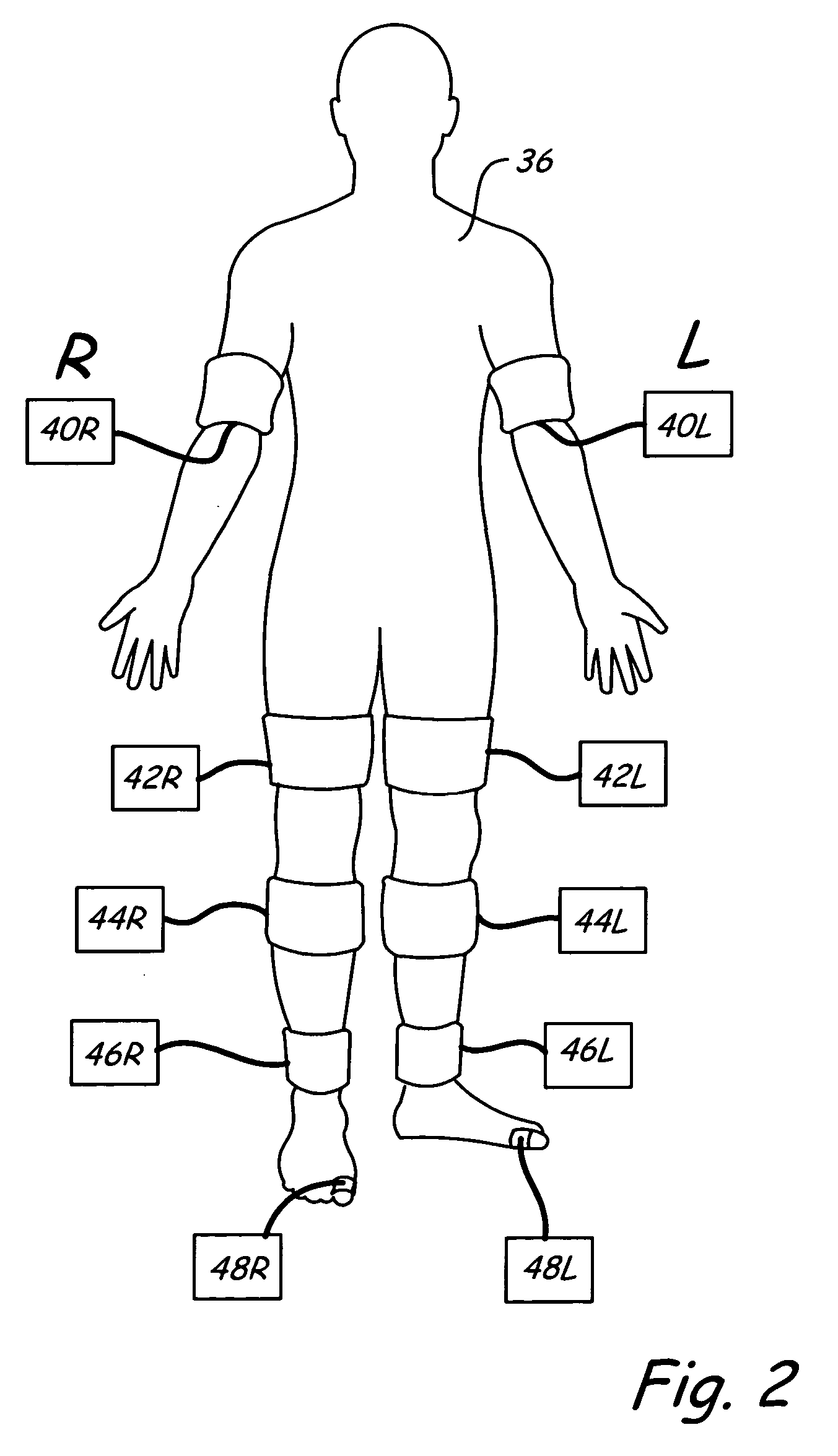 Vascular testing system