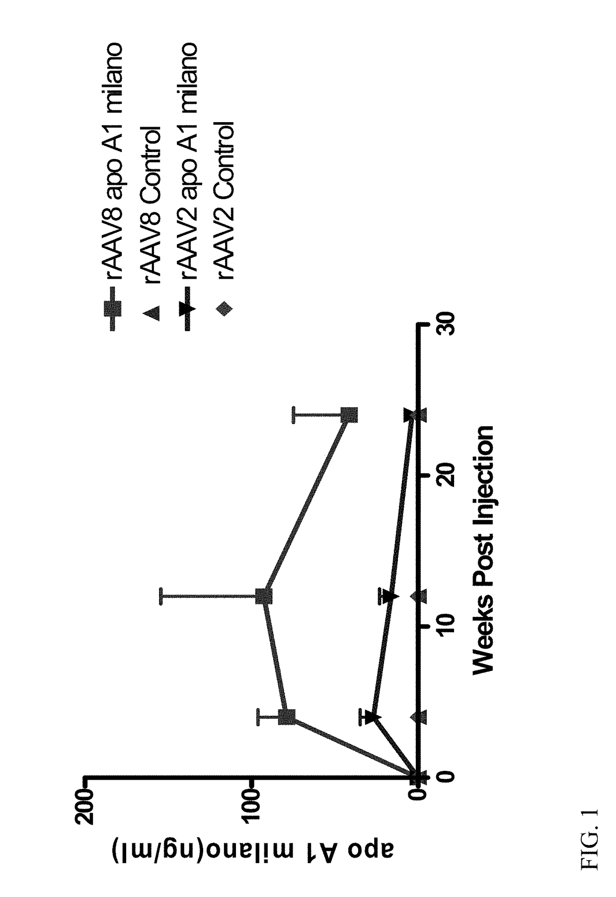 Atherosclerosis inhibition via modulation of monocyte-macrophage phenotype using apo a-i milano gene transfer