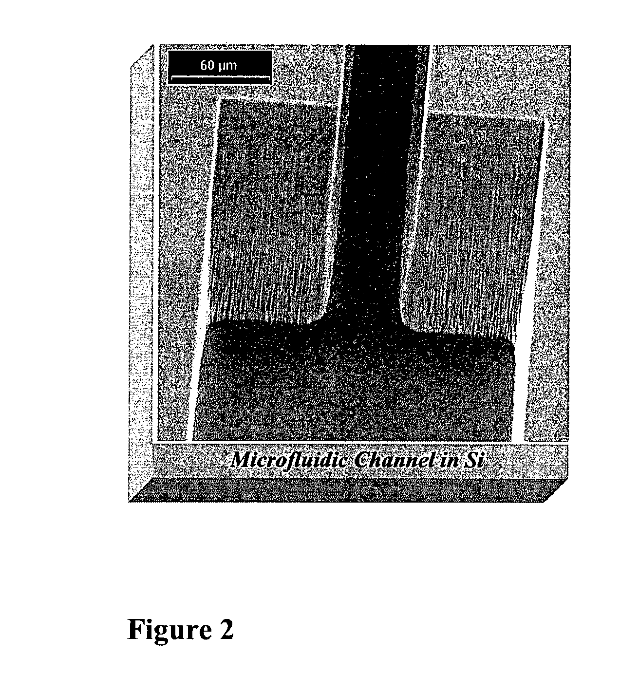 System and method for the separation of analytes