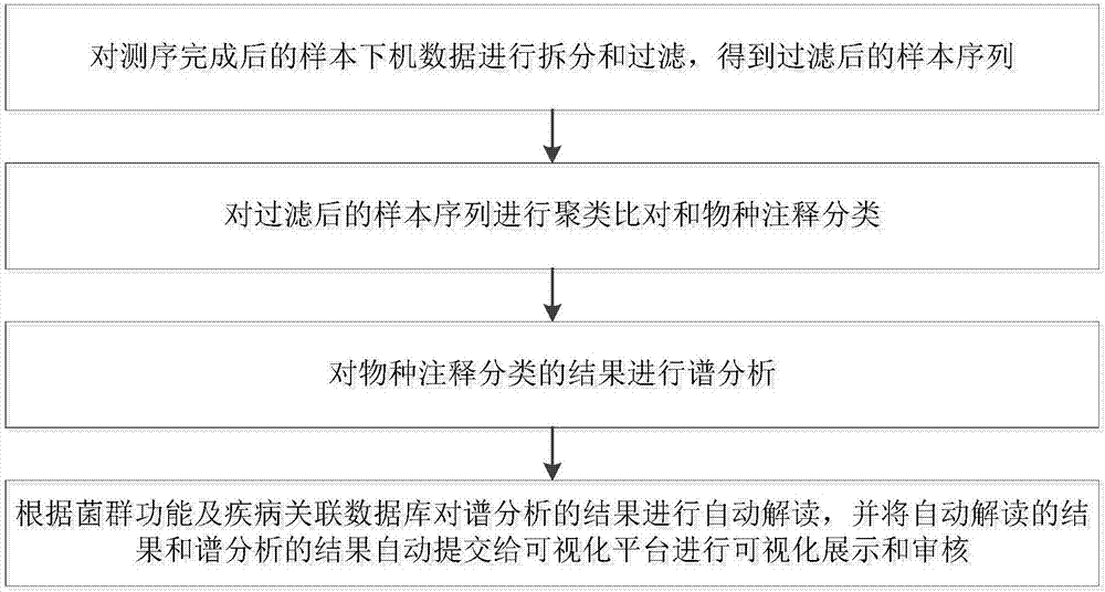 Enteric microorganism information analysis method and system