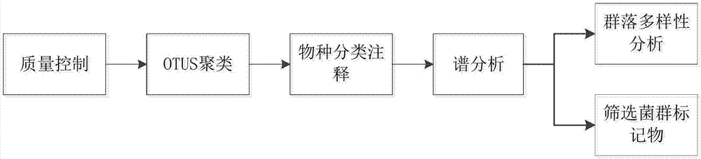 Enteric microorganism information analysis method and system