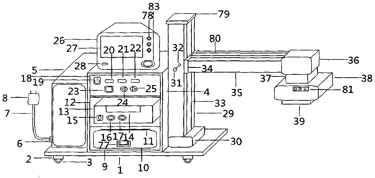 Tumor Microwave Assisted Nursing Instrument