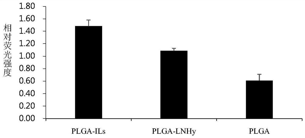 Liposome-nanoparticle hybrids for treating chronic glomerulonephritis