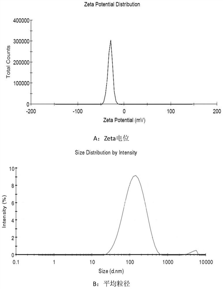 Liposome-nanoparticle hybrids for treating chronic glomerulonephritis