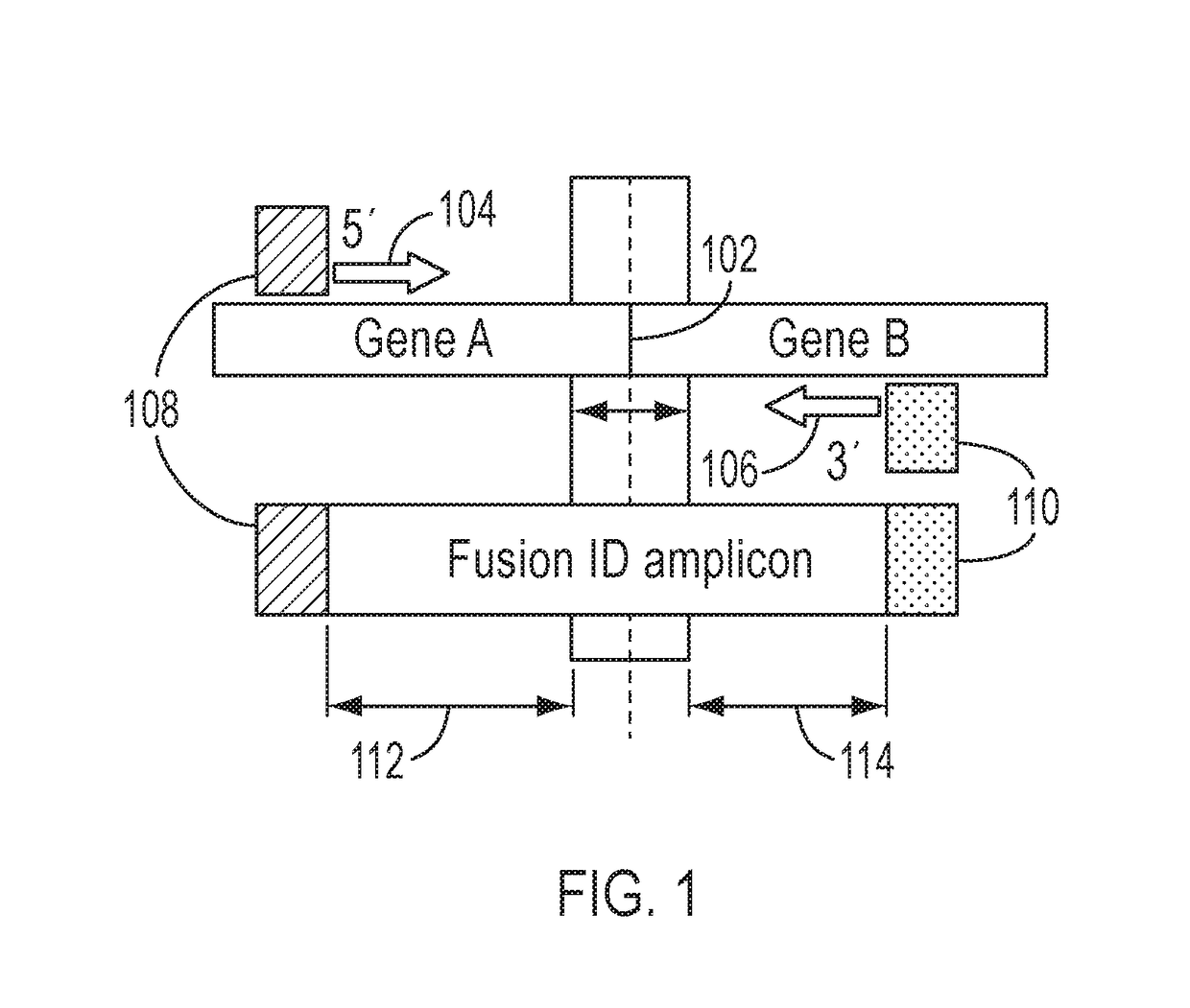 Methods for detection of fusions using compressed molecular tagged nucleic acid sequence data