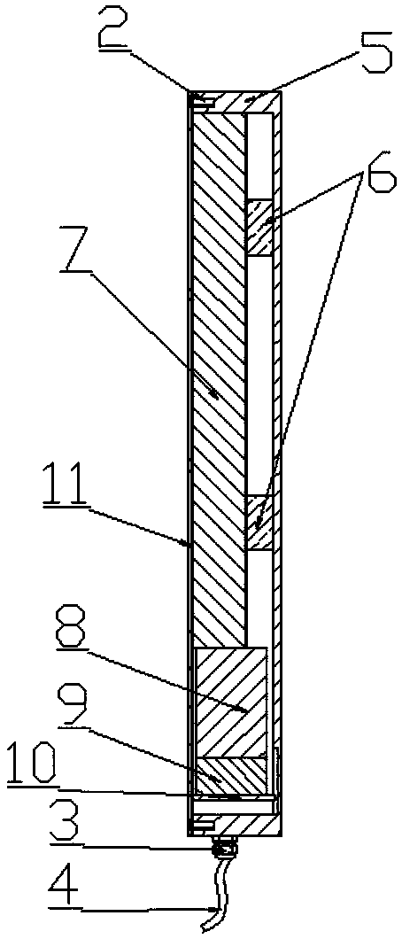 Detector employing plastic scintillator to measure alpha and beta rays