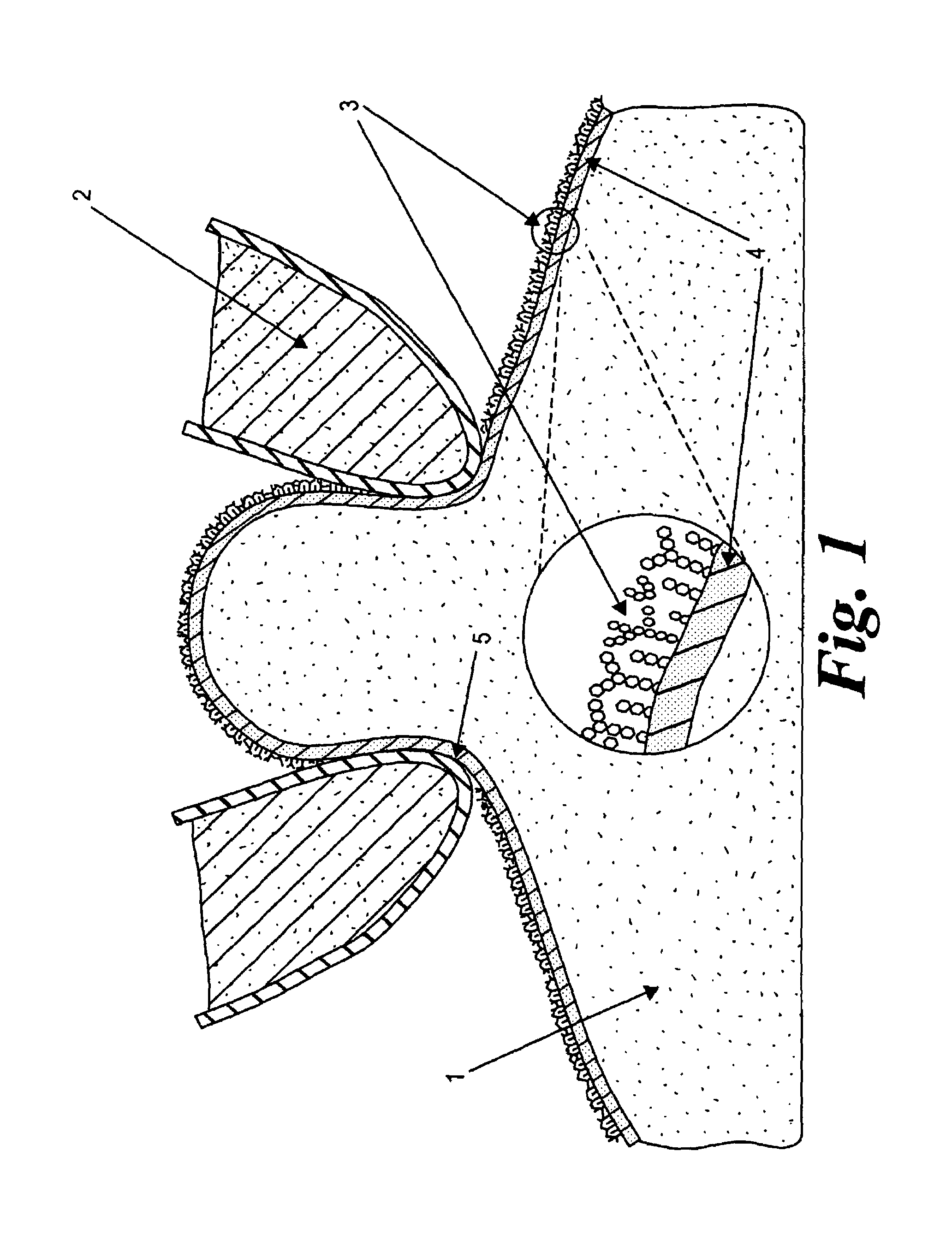 Substrate and method for measuring the electro-physiological properties of cell membranes